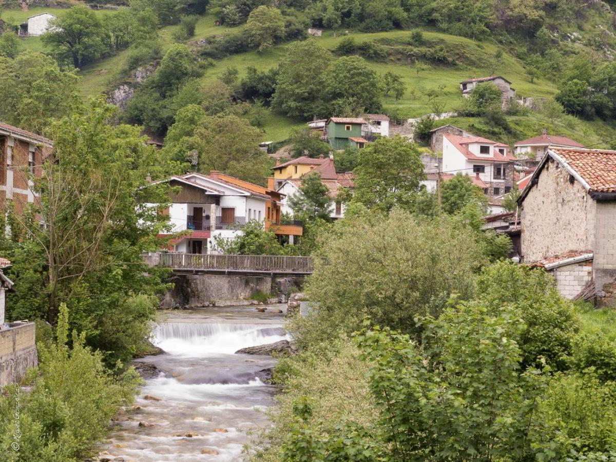 Apto. De Montana La Campa En Felechosa Extérieur photo